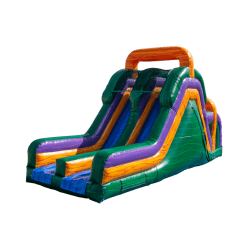 Mardi Gras Double Lane Slide