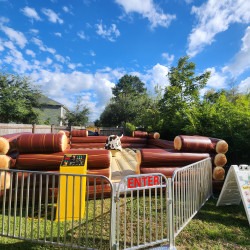 backyard20bull 1771510132 Mechanical Bull